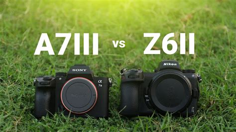 Nikon Z6ii Vs Sony A7iii Autofocus Test And Other Review Best Mirrorless In Budget 2022 Youtube