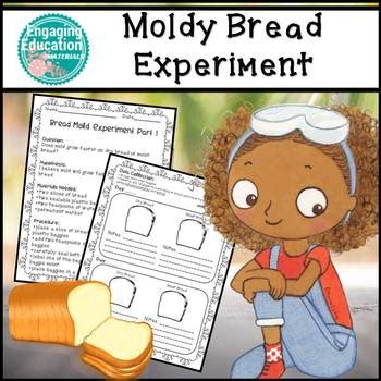 Moldy Bread Experiment