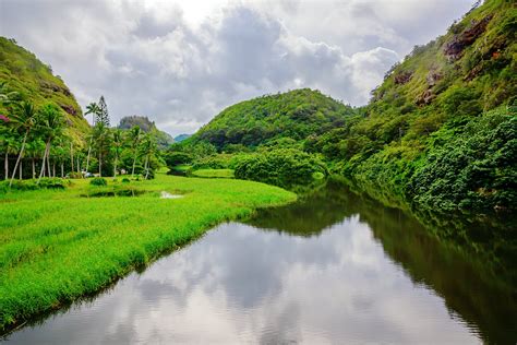 Waimea Valley in Oahu - A Hawaiian Historical Nature Park with Lush Botanical Gardens – Go Guides