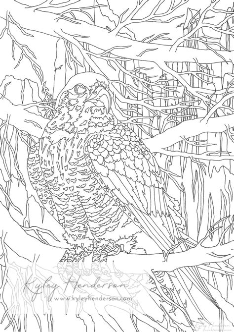 Peregrine Falcon Adult Coloring Pages Falcon Coloring Pages Instant Download Printable