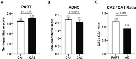 Differential Hyperphosphorylated Tau P Tau Burden In Primary