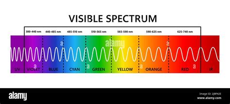 Visible light spectrum, infared and ultraviolet. Optical light ...