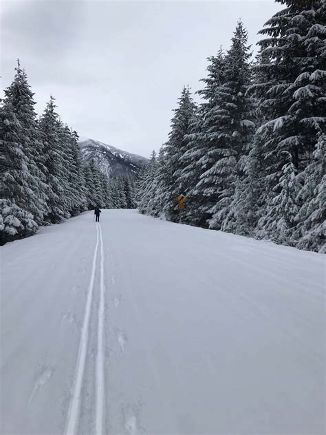 Splendor and Solitude: Winter on the North Cascades Highway - North Cascades Institute