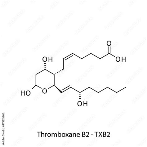 Thromboxane B Prostaglandin Biomolecule Molecular Formula Skeletal