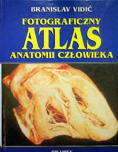 Atlas Fotograficzny Anatomii Człowieka Niska cena na Allegro pl