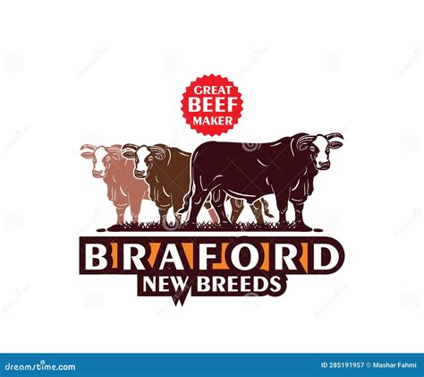 Braford New Breed The Beef Maker Stock Vector Illustration Of Cattle