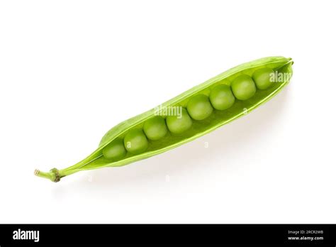 Pea Pod Plant Hi Res Stock Photography And Images Alamy