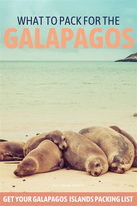 Galapagos Packing List What To Pack For A Diy Galapagos Trip Artofit