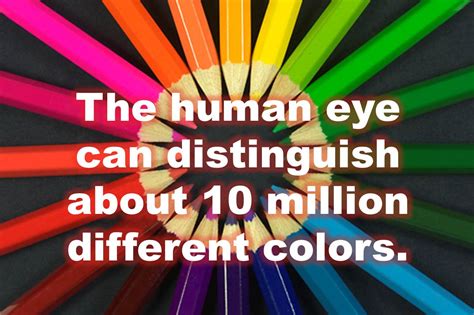 The Human Eye Can Distinguish About 10 Million Different Colors The Declaration