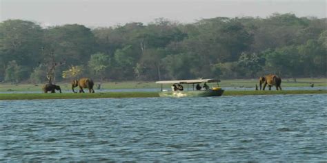 Kabini River Lodge Kabini Karnataka Trippyigloo