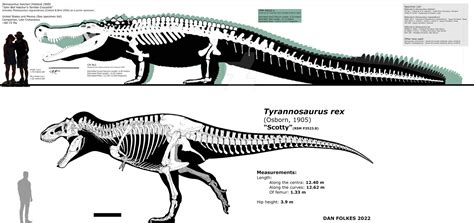 78 best Deinosuchus images on Pholder | Naturewasmetal, Theisle and ...