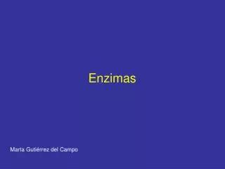 PPT TEMA 5 BIOCATALIZADORES ENZIMAS PowerPoint Presentation Free