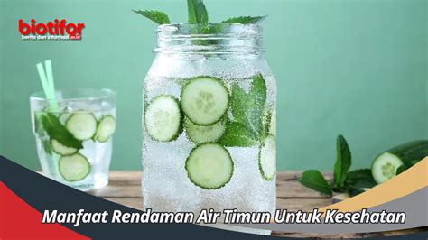 Manfaat Rendaman Air Timun Untuk Kesehatan Dan Mengatasi Dehidrasi