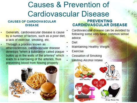 Cardiovascular Disease Power Point Presentation Example