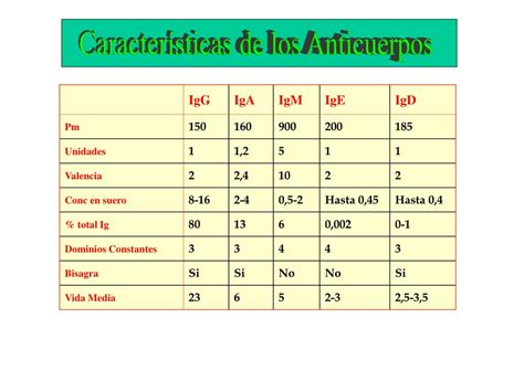 Ppt Anticuerpos Estructura Funci N Clases Y Subclases De Ac