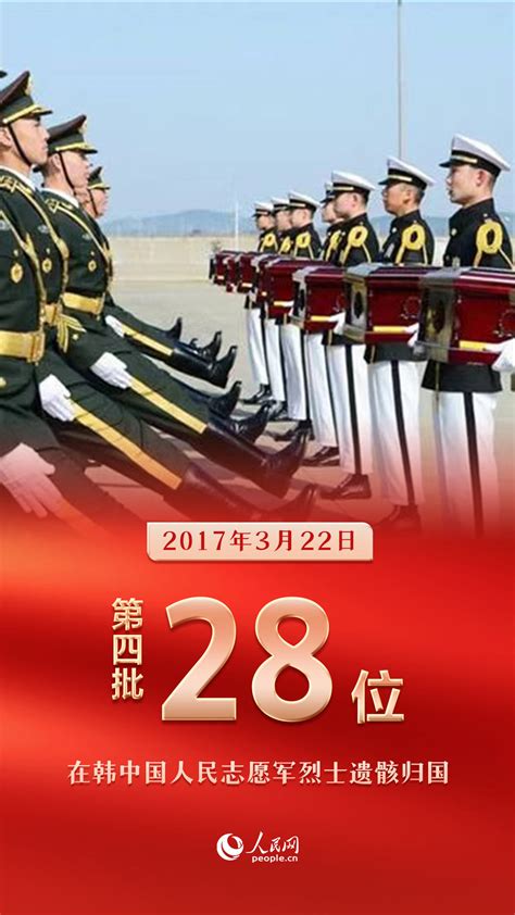 山河无恙 英雄回家｜连续九年，913位在韩中国人民志愿军烈士遗骸归国 军事 人民网