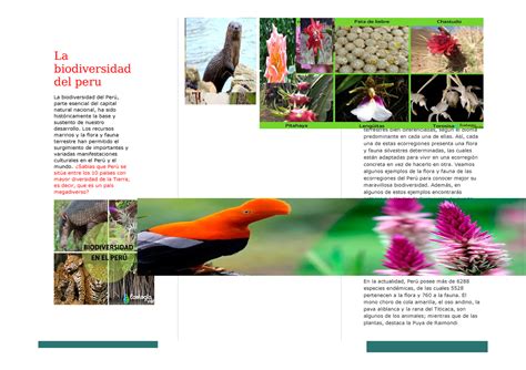 Infografia Sobre La Biodiversidad Que Caracteriza Al Peru Y Como Se Images