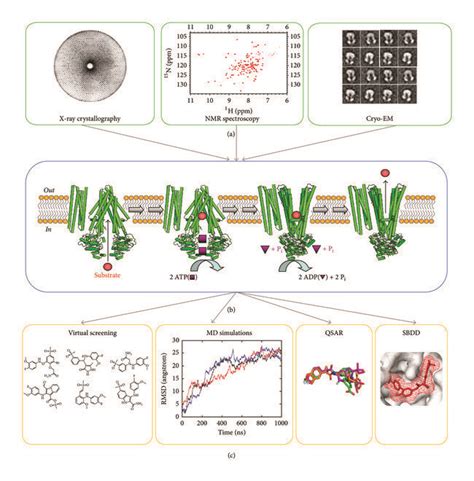 Experimental Workflow From Biophysical Characterization Of Abc Proteins