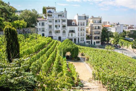 Montmartre & Sacré Coeur: 2.5-Hour Walking Tour