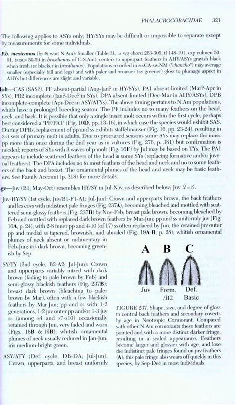 Identification Guide to North American Birds, Part 2: Anatidae to ...