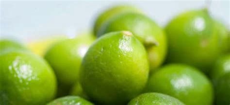key lime benefits  recipes   dr axe