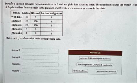 Solved Suppose A Scientist Generates Random Mutations In E Coli And