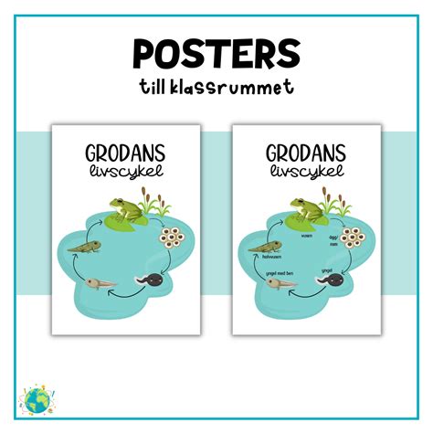 Posters Grodans Livscykel Teach Academy