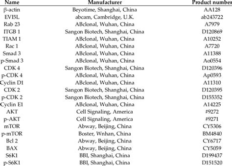 All of the main antibodies of Western blot (WB). | Download Scientific Diagram