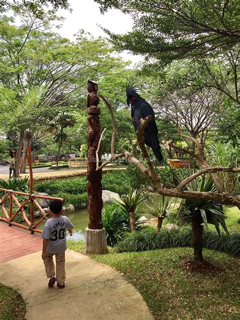 Lokasi Dan Harga Tiket Masuk Fauna Land Ancol Wisata Edukasi Terbaru