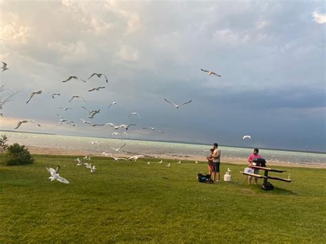 Aspen Beach Provincial Park Lacombe County Ab T0c 0j0 Canada