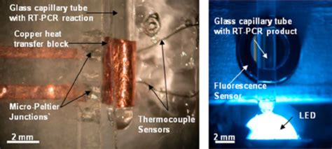 ͑ Color Online ͒ An Optical Micrograph Of Our Microfluidic Pcr System