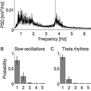 A Average power-frequency spectrum of LFP recordings in the rat ... 