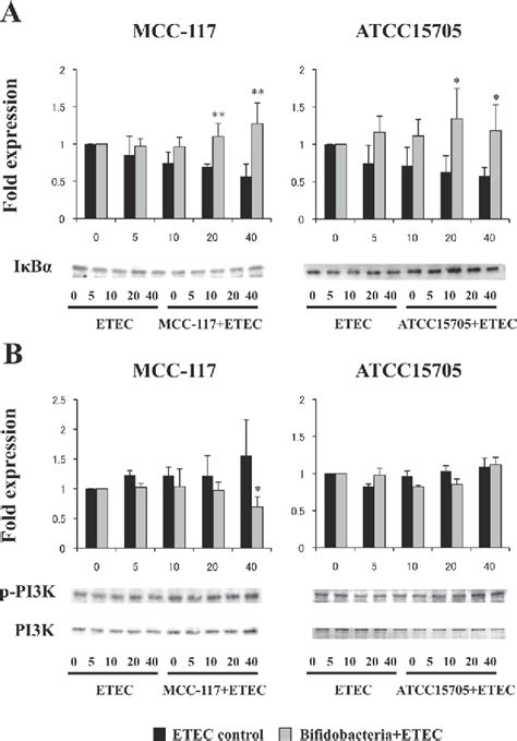 Figure From Bifidobacterium Breve Mcc Induces Tolerance In