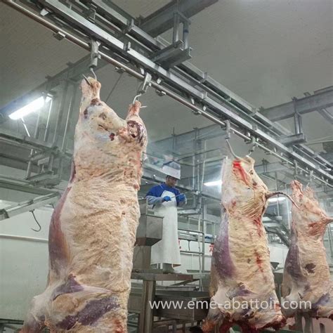 Beef Cattle Abattoir Equipment Cow Slaughterhouse Design For Halal