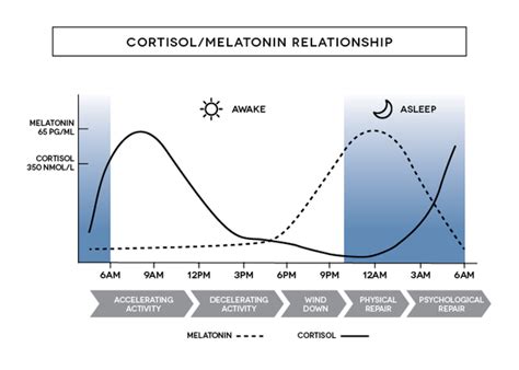 Sleep And Stress Panel Alphacor Diagnostics