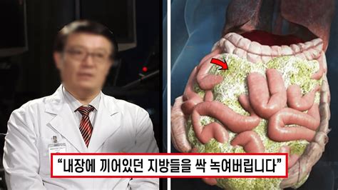 눈 깜짝할 사이에 뱃살이 사라집니다 비만 치료 권위자가 알려주는 잘 먹고 복부 내장지방 녹여버리는 방법 최고의 인생