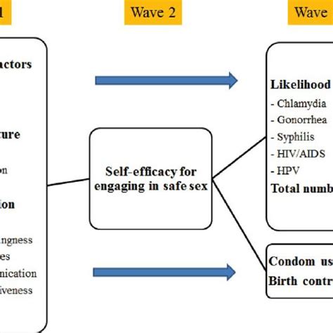 Conceptual Framework Social Cognitive Theory Was Use To Conceptualize Download Scientific