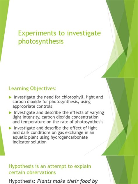 6.1a Experiments To Investigate Photosynthesis | PDF | Photosynthesis ...