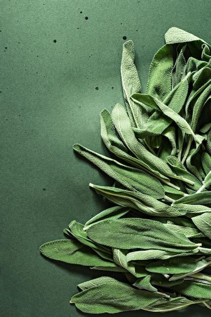 Premium Photo Background From Fresh Sage Or Salvia Officinalis Leaves