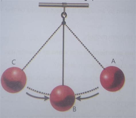 Diagram Based Questions A Observe The Diagram And Answer The