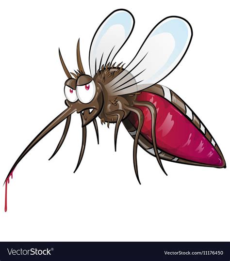 Mosquito cartoon Royalty Free Vector Image - VectorStock | Kunst ...