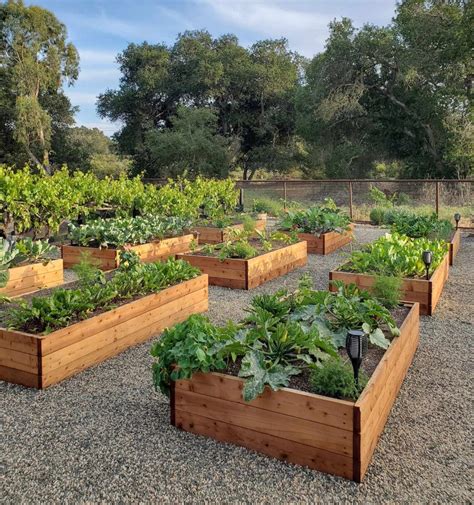 Redwood Garden Boxes