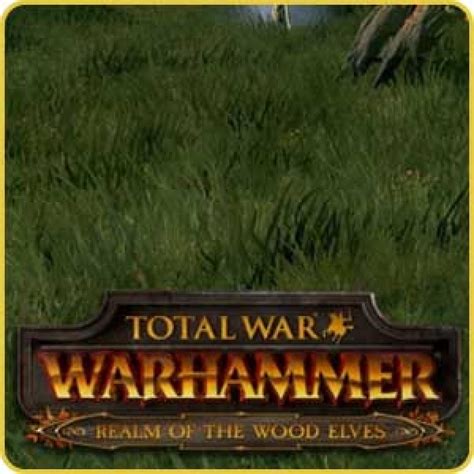 Total War Warhammer Realm Of The Wood Elves