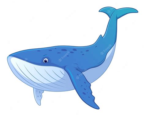 Blue Whale Cartoon Images