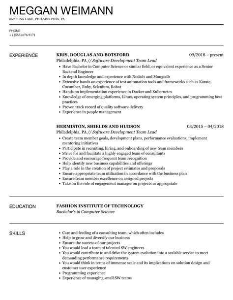 Software Development Team Lead Resume Samples Velvet Jobs