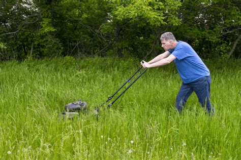 cut tall grass tips  mow  efficiently