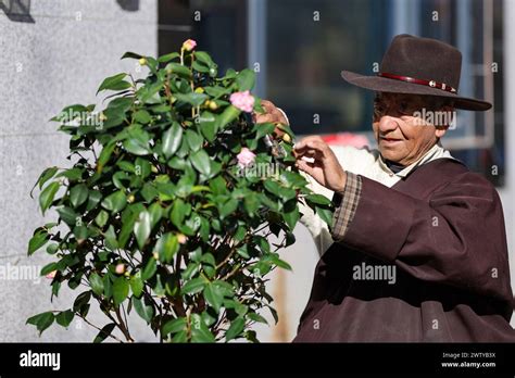 Lhasa China S Xizang Autonomous Region 11th Mar 2024 Drakpa Wangden