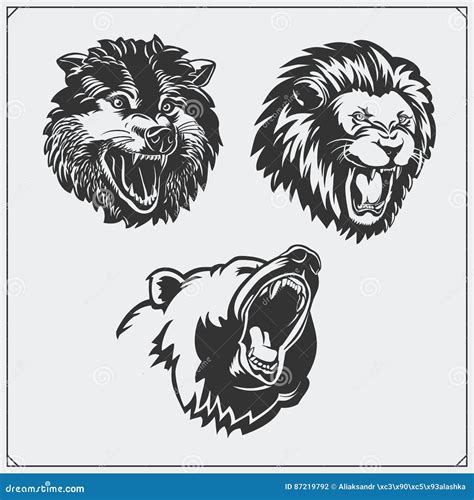 Illustrations Of Wild Animals Bear Lion And Wolf Stock Vector