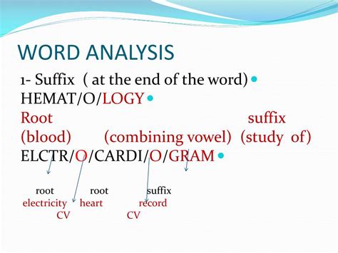 word analysis powerpoint    id