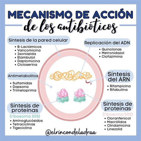 Mecanismo De Acción De Los Antibióticos Udocz